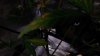 DSCF0548.JPG