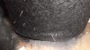 DSCF0563.JPG