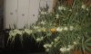 20150607_231813.jpg