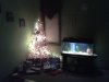 2012-12-25 04.42.42.jpg