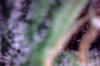Photo on 6-15-15 at 1.08 PM #2.jpg