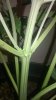 WP_20150617_23_19_26_Pro.jpg
