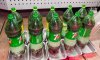 _DSC0510.jpg