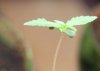_DSC0376.jpg
