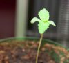 _DSC0378.jpg