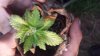 20150618_203547.jpg