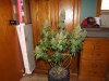 DSCF0440.JPG
