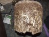 DSCF0939.jpg