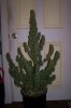 100_2840.jpg