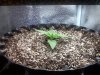 20120213072546.jpg 20120213072546.jpg