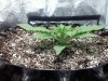 20120216032657.jpg 20120216032657.jpg