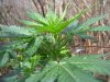 100_4104.jpg