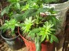 100_4105.jpg