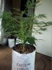 100_1818.JPG