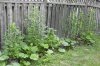 DSCN0121.JPG