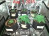 2015-08-01_11.38.57.jpg