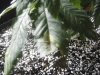 DSCF2866.JPG