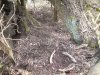 DSC00015.jpg
