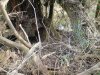 DSC00016.jpg