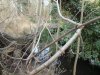 DSC00017.jpg