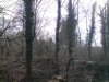 DSC00018.jpg