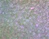 S20150822_0002.jpg