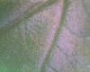 S20150822_0003.jpg