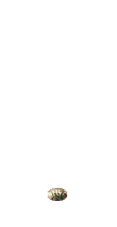 GrowingMarijuana[1].gif