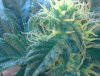 2012-03-05_14-25-53_195.jpg