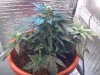 2012-03-05_14-26-43_537.jpg