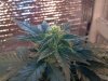 2012-03-05_14-26-50_324.jpg