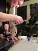 swiss perc rip @ cup 2011.JPG