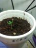 2012-03-04 21.51.11.jpg