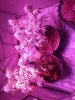 20150811_125108.jpg