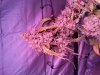 20150818_133727.jpg