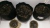 Grow_Day8.jpg