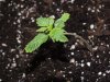WW6-day10.JPG