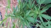 20151006_191936.jpg