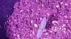 20151008_113410.jpg