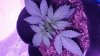 20151008_113424.jpg