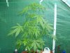 100_3125.JPG
