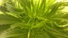 28052011276.jpg