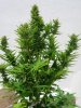 DSCN5919.jpg
