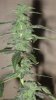 day42 003.jpg