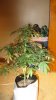 day42 007.jpg