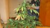 day42 009.jpg