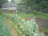 DSC03260.JPG
