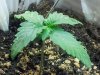 20120312_175425.jpg