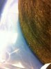 image-918510520.jpg