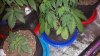 20151017_235538.jpg